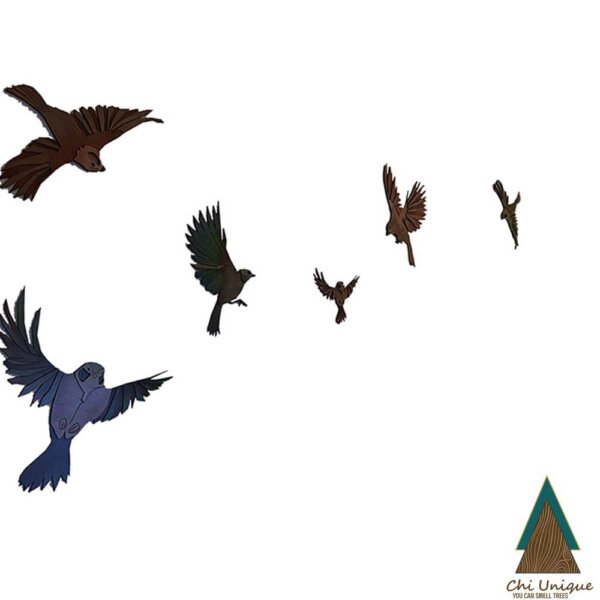 Birds Collection
