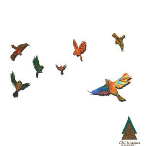 Birds Collection