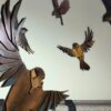 Birds Collection